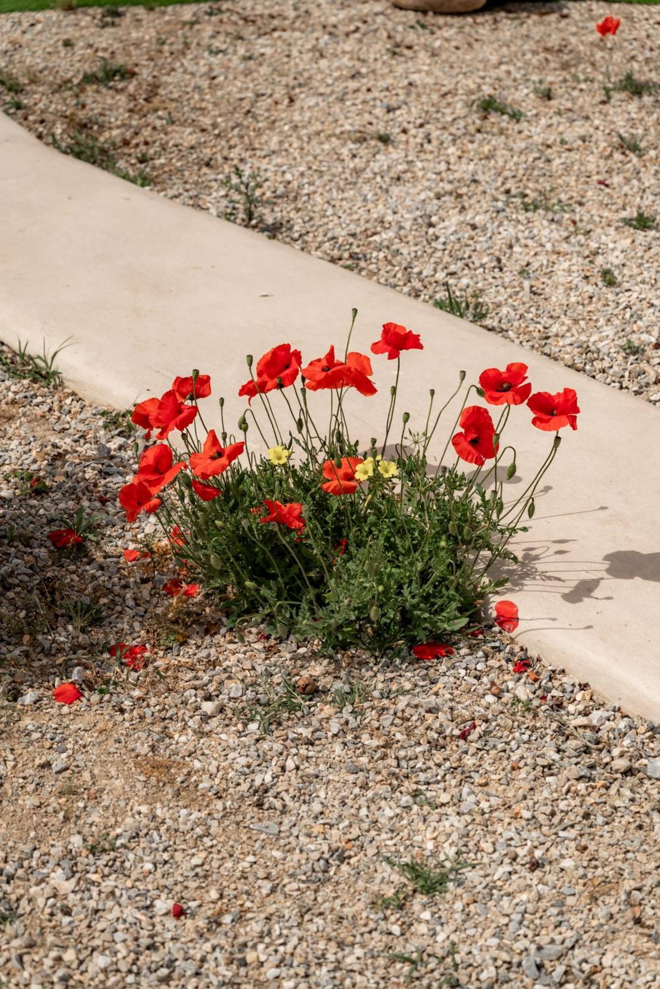 Apartamento Honey Bee House Mykonos Town